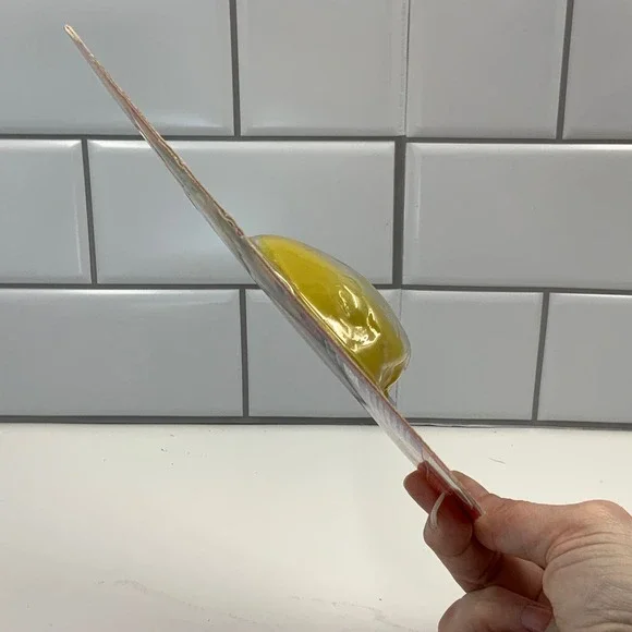 Dissect-It Discover-It Synthetic Ancient Amber Lab STEM Toy Mystery Insect Kit - Picture 3 of 4